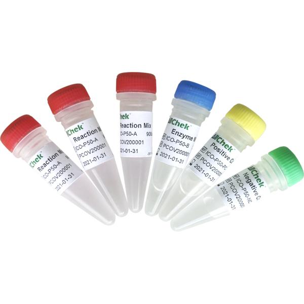 Обратный тест SARS-COV-2 RT-QPCR цепной реакции полимеразы Transcriptase