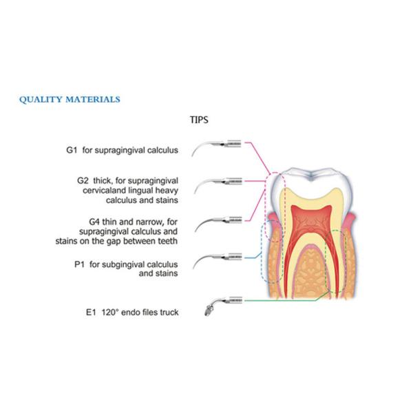 20w Tooth Cleaning Dental Ultrasonic Scaler Detachable dental led handpiece