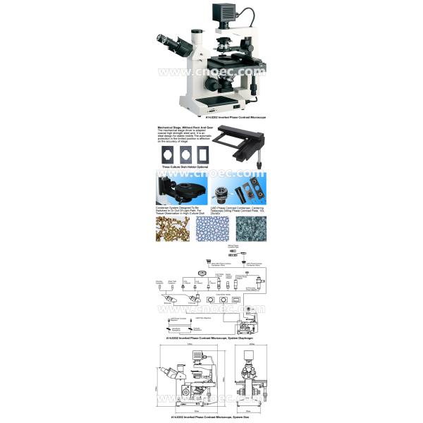400X Plan Phase Contrast  Inverted Optical Microscope Halogen Lamp Rohs CE A14.0202