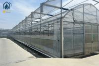 Multi Span Greenhouse Year Round Vegetable Growing Greenhouse For Farms