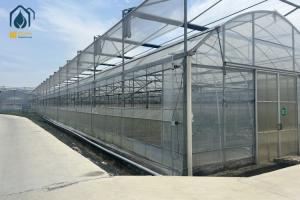 Multi Span Greenhouse Year Round Vegetable Growing Greenhouse For Farms