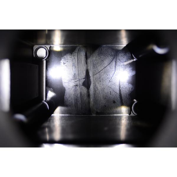 C189 Black gelatin palm print lifter