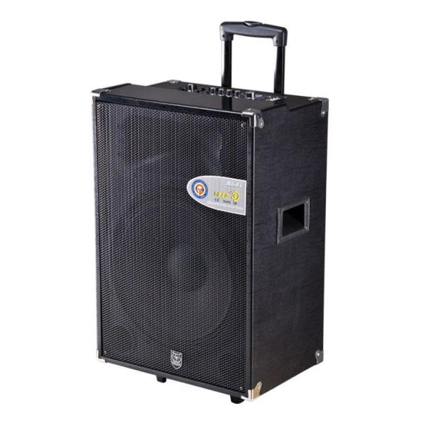 active trolley speaker/portable speaker with usb/sd function