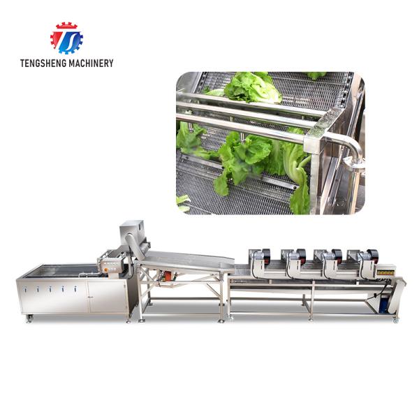 Fruit and vegetable washing and vibrating drying production line Fruit Vegetable FOOD processing production Machine Versatile and Durable Fruit Vegetable Processing Line for Your Business Processin