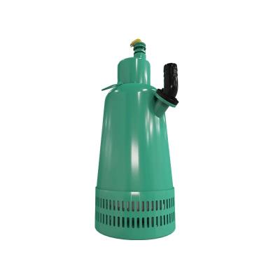 Heavy Duty Explosion Proof Submersible Effluent Sewage Pump 4kW  For Stringent Mining And Oil Extraction Demands