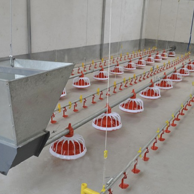 Customizable Poultry Breeding Broiler Equipment Chicken Farm Feeding Line