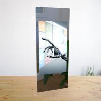 Le miroir interactif antipoussière de forme physique de 700Nits 2K a projeté le miroir intelligent capacitif de séance d'entraînement