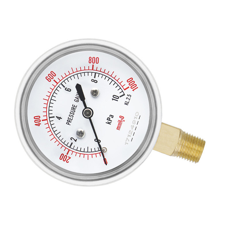 2.5 Inch NPT1/4 Gas Capsule Pressure Gauge with 0-60mbar/kpa Range from Zhejiang