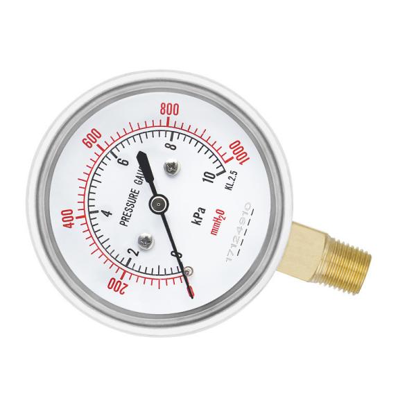 2.5 Inch NPT1/4 Gas Capsule Pressure Gauge with 0-60mbar/kpa Range from Zhejiang