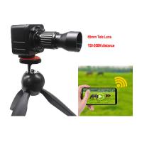 a came do IP da rede wireless de 200M Cctv Camera Hidden para observa animais