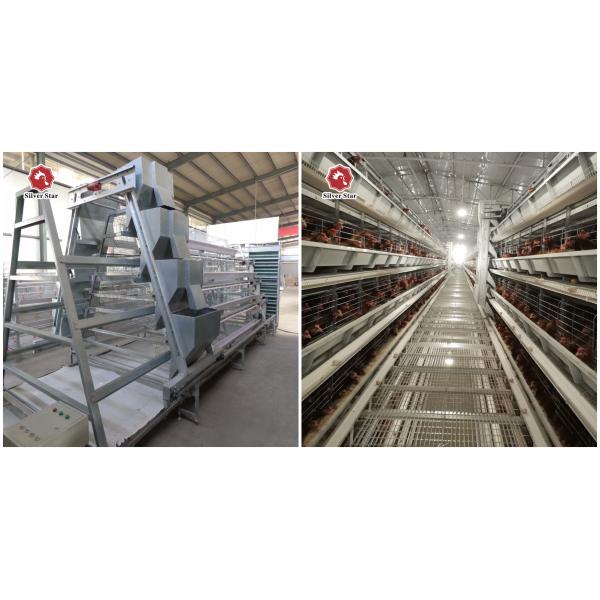 Клетка цыпленка яйца ячеистой сети 60-384, клетка сельского хозяйства слоя HDG Q235