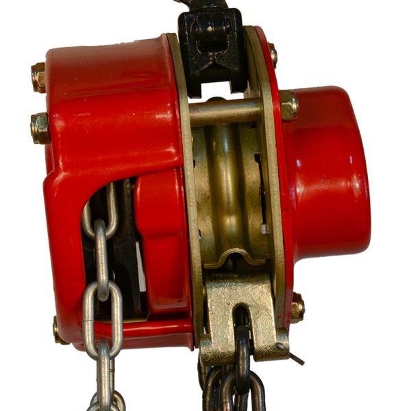 Customized Alloy Steel Chain Hoist for Your Specific Industrial Needs