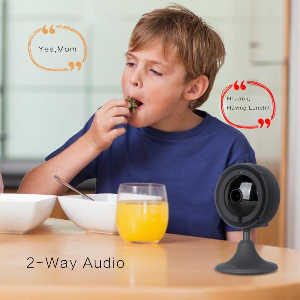 1080P Fish-eye Indoor Wifi camera(IPC156)