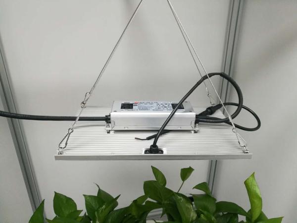 3500K Samsung Lm561C Quantum Board Led Grow Lights