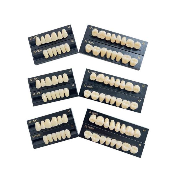 High Flexibility Composite Dental Acrylic Resin Teeth Standard Size