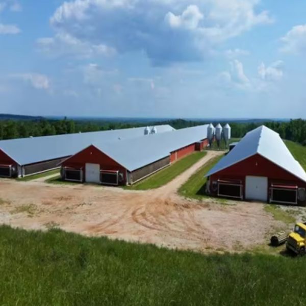 Large Span Industrial Logistics Storage Over 5000 Sqm Steel Structure Warehouse Building