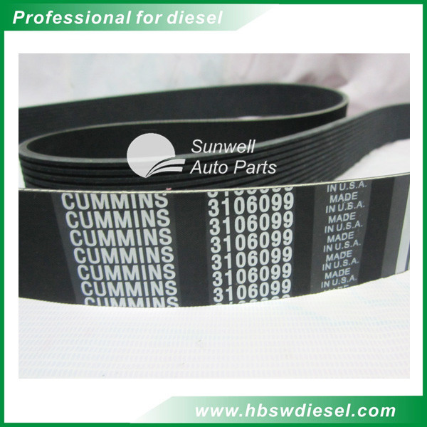 QSX15 engine Belt, V Ribbed 3106099