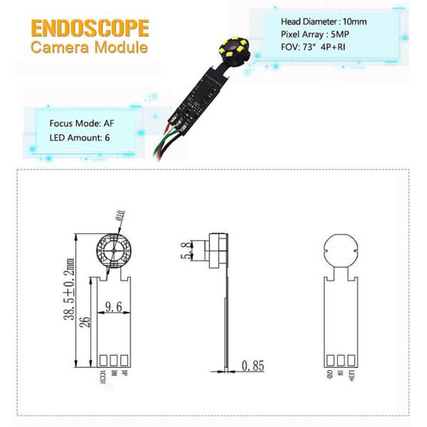 Módulo de câmera de endoscópio USB de 5MP com 6pcs LED
