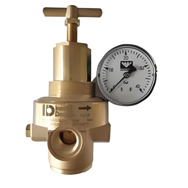 High-Pressure Reducer Pneumatic Solenoid Valve with High-Pressure Silencer and Filter Element