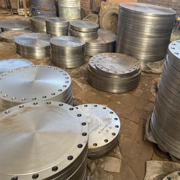 Customized SS301/304/316 Forged Blind Flange for ANSI B16.5 CL600 Stainless Steel Pipe