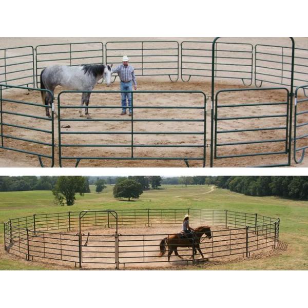 Sheep 7 Reels Heavy Duty Cattle Panel Hot Dip Galvanized Metal Steel 275 Cm X 92 Cm
