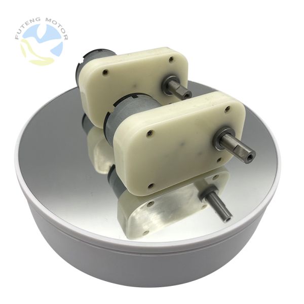 Custom Electric DC Gear Motor 12V 24V High Torque Low Rpm Motor With Worm Gearbox