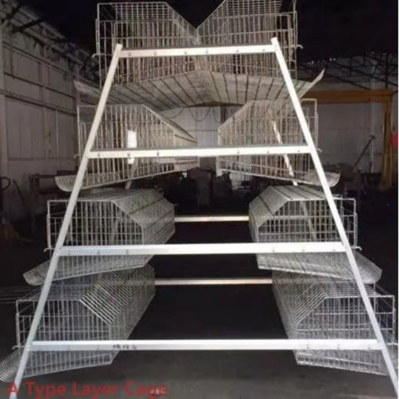 3-4 Tier A Type Layer Cage System Hot Galvanized Steel Cage For Layers Chickens