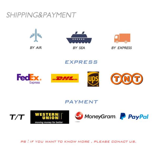 Рекомендуемая реклама наружной ткани из ПВХ Запечатанные надувные воздушные шары на Марс