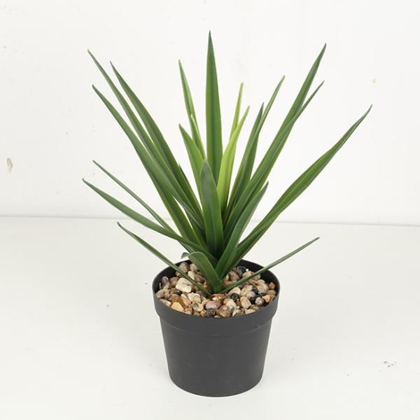 Texture Fidelity Greenery Agave Faux Bonsai Tree 22 CM 25 CM 29 CM
