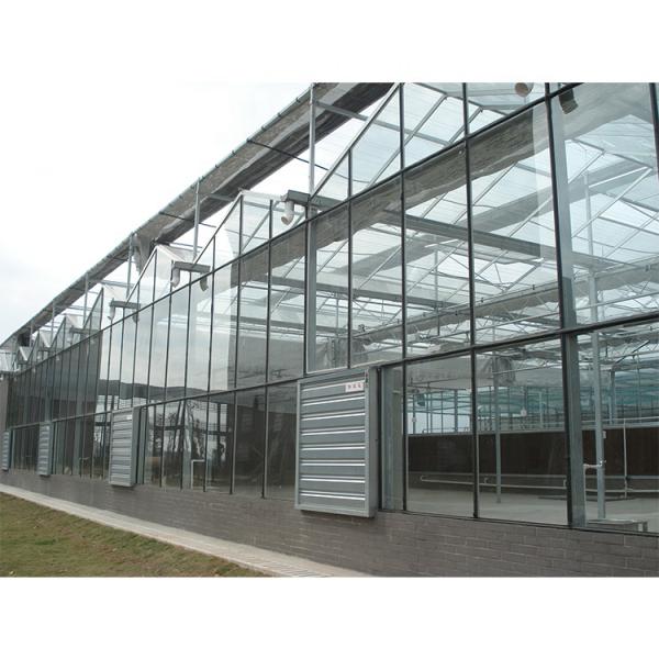 Galvanized Steel Pipe Multi Span Greenhouse Vegetable Greenhouse Kits For Winter Cover