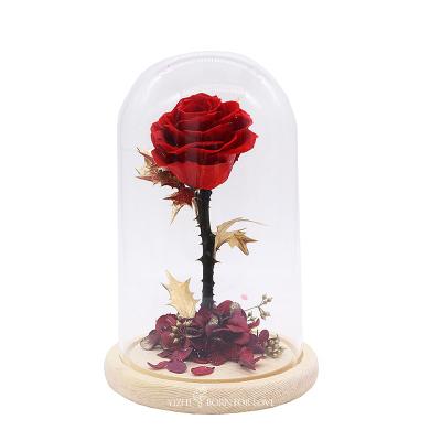 Rose In Glass Dome Gift éternelle pour la Saint-Valentin de Noël de thanksgiving