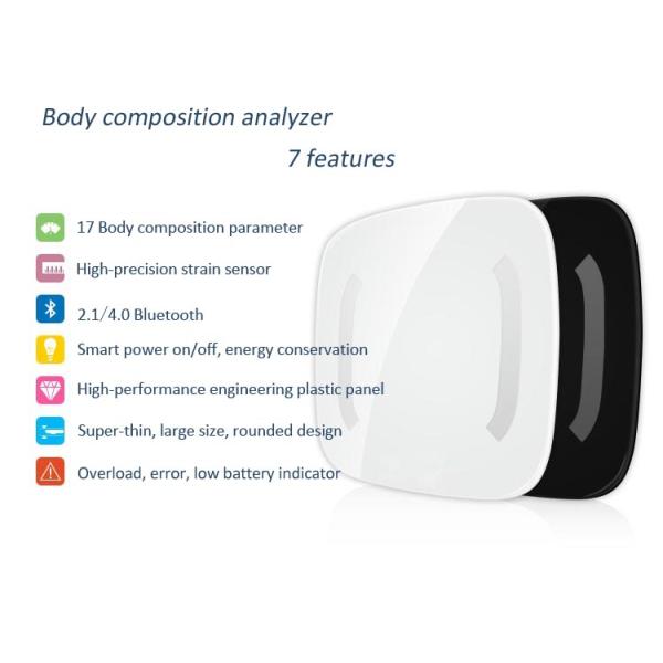 body composition measurer ,body composition test,bmi test,body weight index