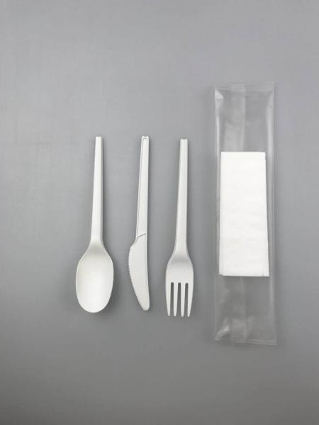 Disposable Spoon Fork Knife Set Biodegradable Option for Catering and Buffet Service