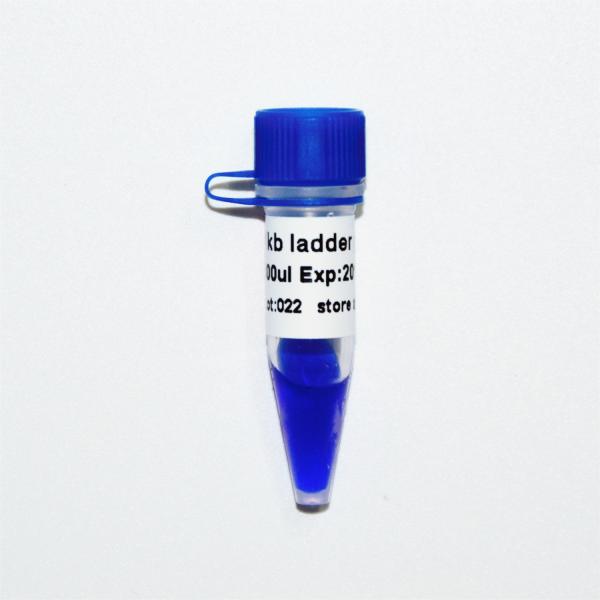 escada 1kb mais o marcador M1191 do ADN 1000bp (50μg) /M1192 (5×50μg)