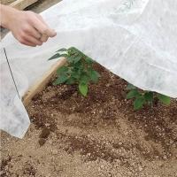 Tampa geral não tecida da proteção de Frost da tampa da agricultura de Agrosheeting Pp Spunond com o 3% UV
