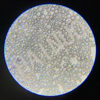 HN50 Microsphères de verre creux pour l'automobile de 15 à 60 μm 0,48 g/cm3