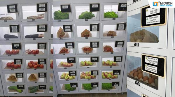 Máquina frigorífica com pagamento em dinheiro e opção de temperatura ambiente
