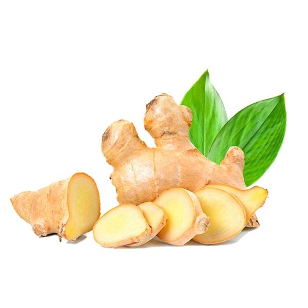 Top Supplier Offers Best Price on Organic Yellow Fresh Ginger Big Size 100% Pure