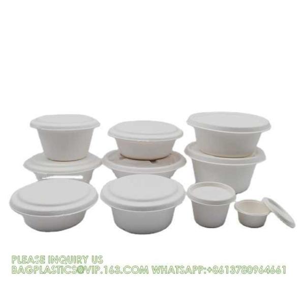 Eco Friendly Bowls 100% Compostable Disposable Biodegradable Sugarcane Bagasse Bowl
