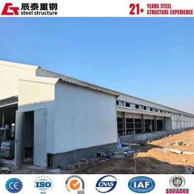 H-Section Steel Structure Livestock Greenhouse with Glass Walls