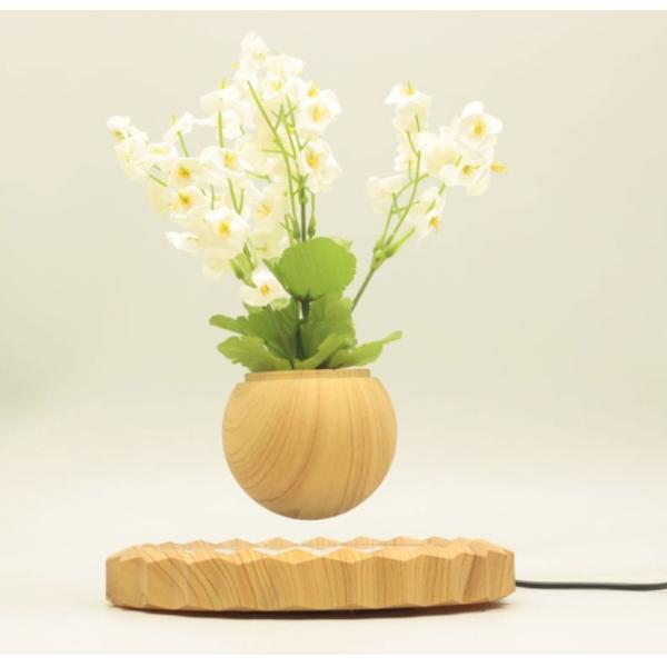 wooden magnetic levitate floating bottom air bonsai pot tree