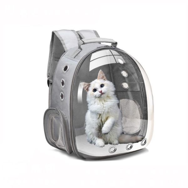 Unisex Durable Washable Non toxic Cute Pet Supplies Featuring Playful Fun Style Hiking Backpack