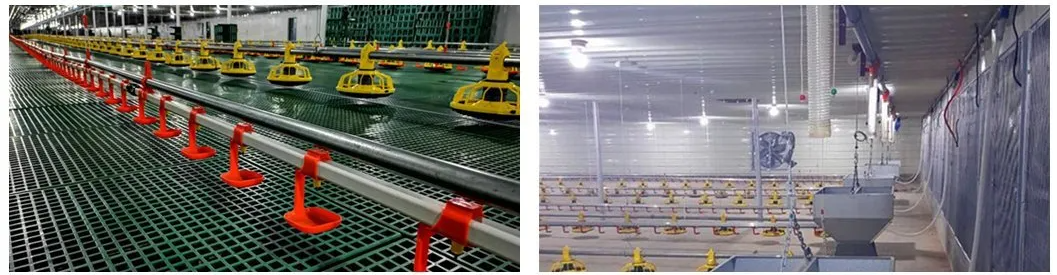 Customizable Automatic Broiler Floor Feeding Equipment with Hot Air Circulation System for Poultry House