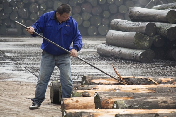 Причудливая переклейка KOTO Teak покрасила декоративную облицовку панели переклейки