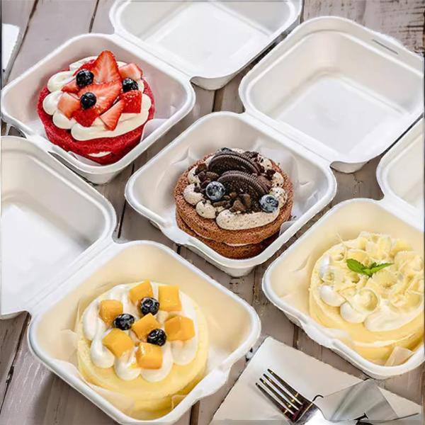 Cana-de-açúcar Pulpa de bambu Hambúrguer Caixa Festas de campismo Almoços Pratos de embalagem de alimentos Placas feitas de papel