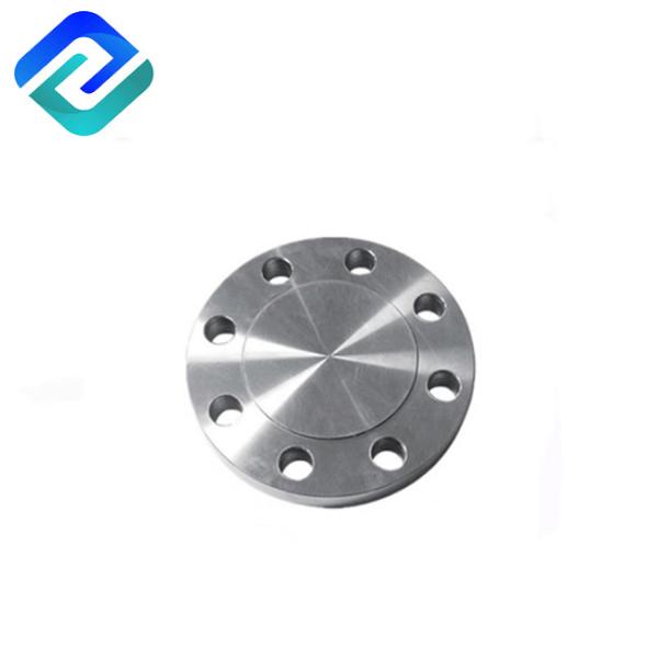 DN15 Forged Stainless Steel Flanges