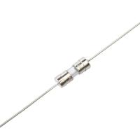 fusible lent 250V à sorties axiales de coup des fusibles de tube de verre de 3.6x10mm/10 ampères