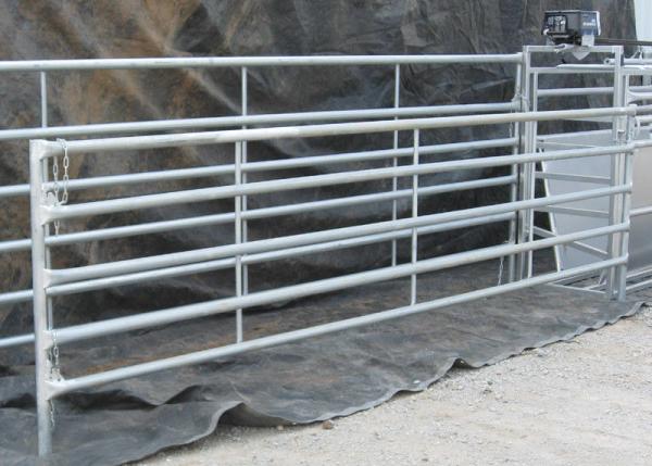 Hot Dipped Galvanized Corral Panel, Chain Latch, 12 Ft Corral fencing