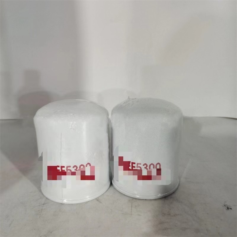 s and Low-Priced FF5300 33394 6050134 BF1110 P502143 Fuel Filter Element for Car Model