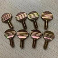 Manufacturer Customized Stainless Steel Hand Tightening Spade Flat Head Racket Thumb Screw